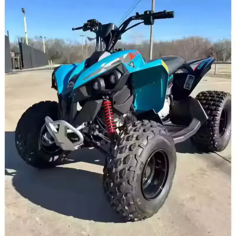 Can-Am Renegade 110 EFI